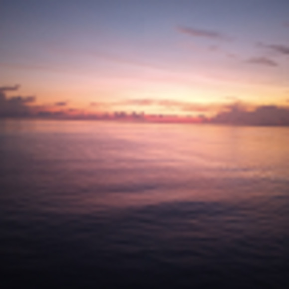 Meet your Posher, Ladawna - Picture 1 of 1